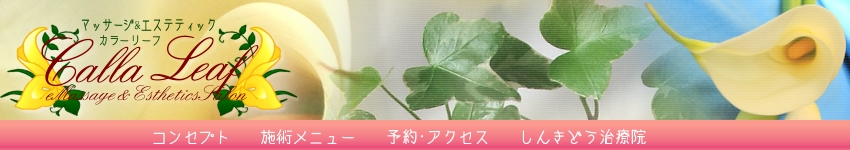 �J���[���[�t