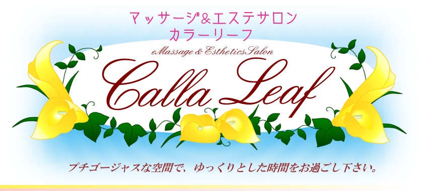 �}�b�T�[�W���G�X�e�T�����@�J���[���[�t